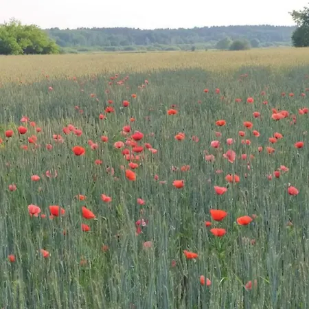 Schoene Aussicht